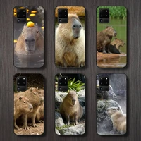 capybara cute animal pattern phone case for samsung galaxy a s note 10 7 8 9 20 30 31 40 50 51 70 71 21 s ultra plus