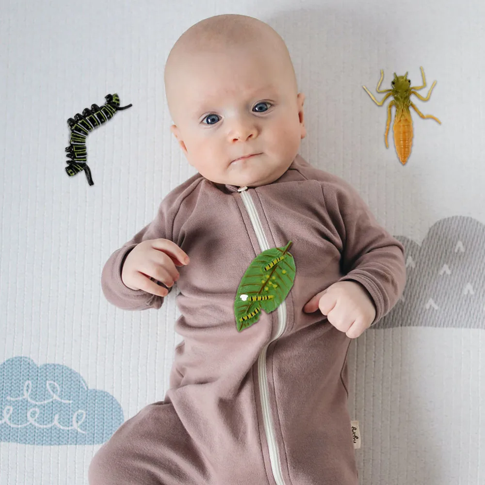 

2 Sets Insects Figures Life Cycle Models of Dragonfly and Butterflies for Kids