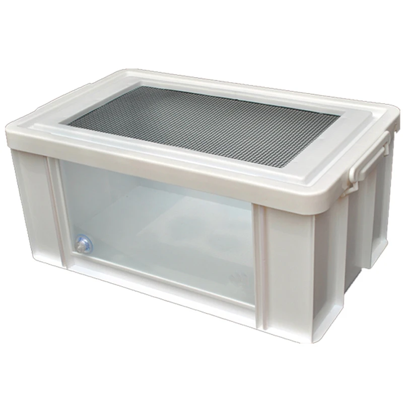 См гусеничный ящик земли черепаха кормления ящерица змея питона Ежик хомяк