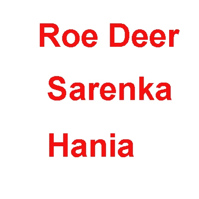 Roe deer Мягкие животные, плюшевый барсук, летучая мышь, олень, дятел, мини пчела, лиса, сова, кукла, лесное животное, подарок на Рождество, год - Цвет: Roe deer