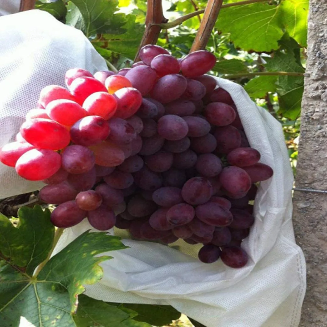 

100 Pcs Fruit Cover Protect Net Mesh Bag Against Insect Bird Pest For Planting Tools Accessories Yard Garden Supplies