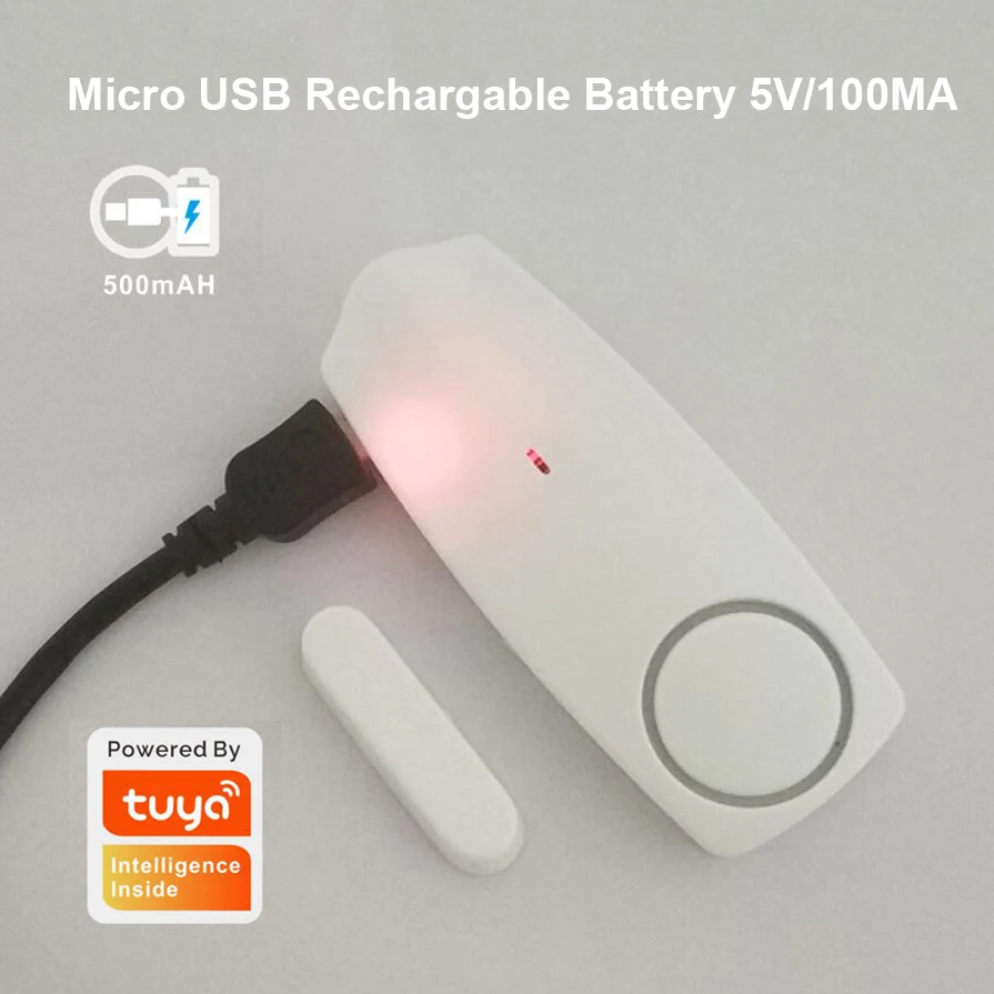 Wireless Tuya Music Window Door Sensor Smart Opening Detector Independent Alarm Alexa Google Home IFTTT for Burglar | Безопасность и