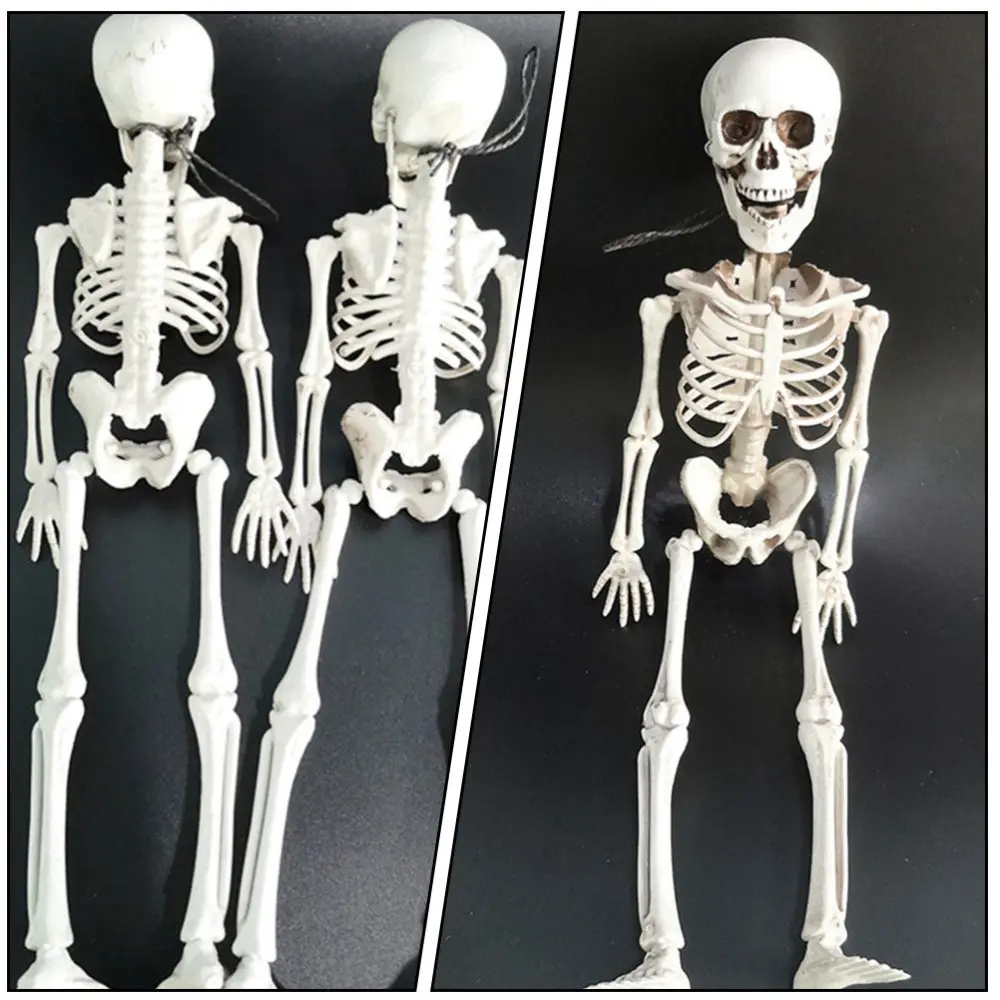 

3pcs Simulated Skeleton Models Skeleton Crafts Layout Decor