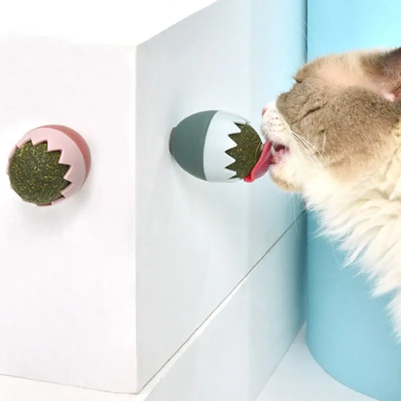 Пасхальное яйцо мята для кошачьей мяты|Игрушки кошек| |