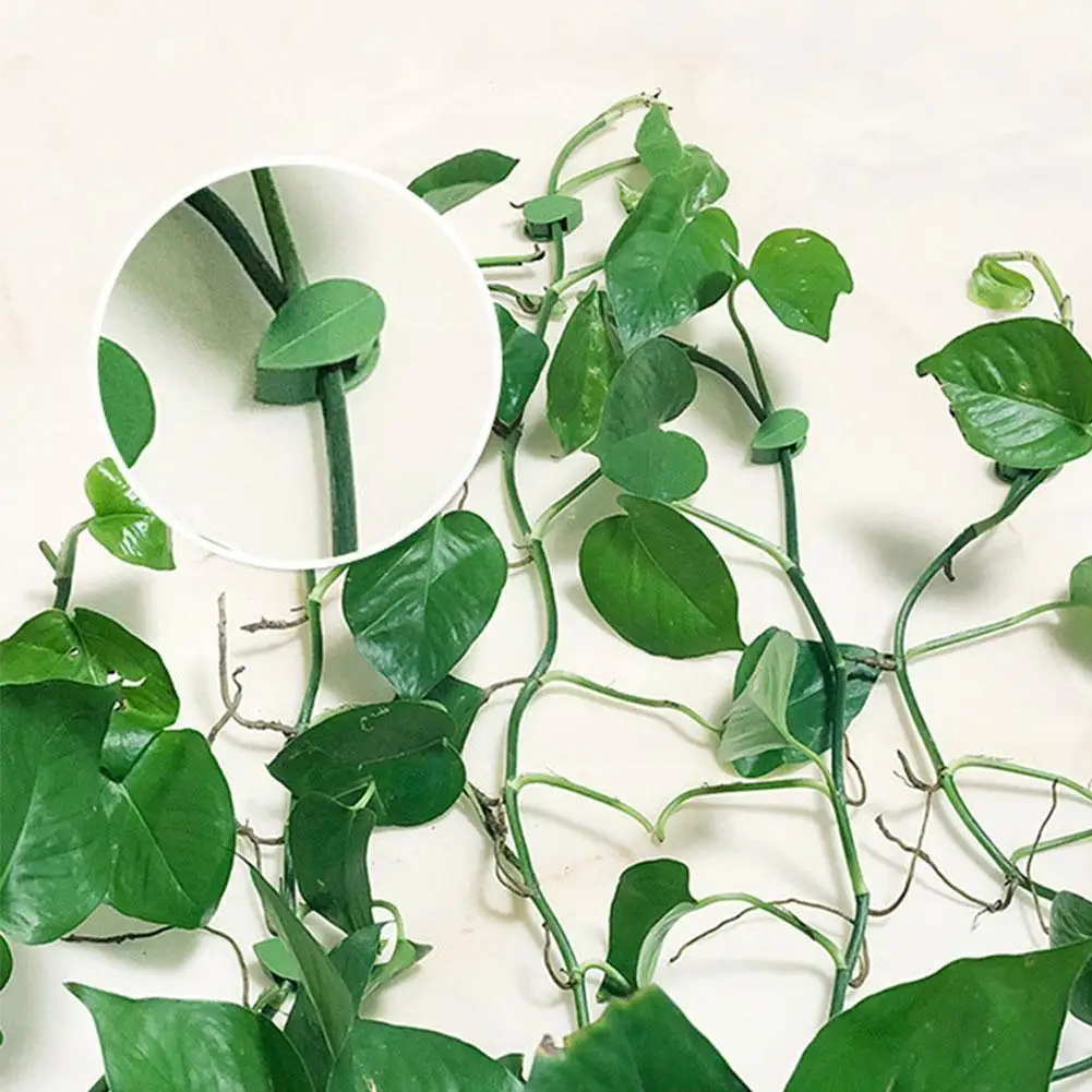 

10pc Plant Fixture Clip Glue Plant Climbing Wall Self-Adhesive Hook Buckle Vine Climbing Plant Fastener Fixture Wall Garden K4B6