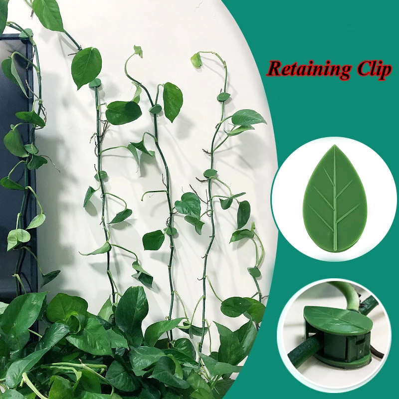 

Green Dill Fixator New Home Garden Decoration Hot Green Self-Adhesive 10pcs Plant Fixture Clip Plant Climbing Wall Buckle