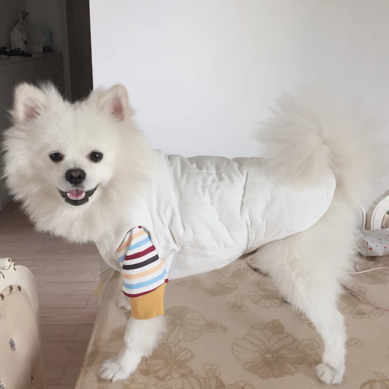 Одежда для собак роскошный модный зимний костюм щенка футболка + жилет маленьких