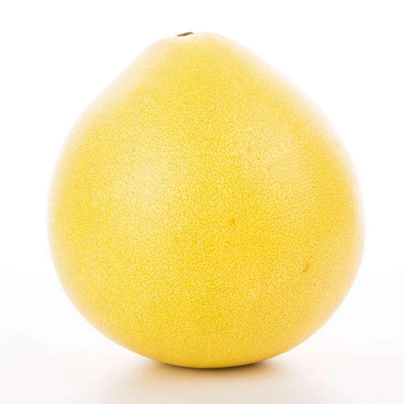 10 шт. искусственный помело |