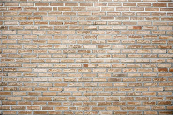 

Vinyl Custom Photography Backdrops Props Brick Wall theme Photo Studio Background 20026-09