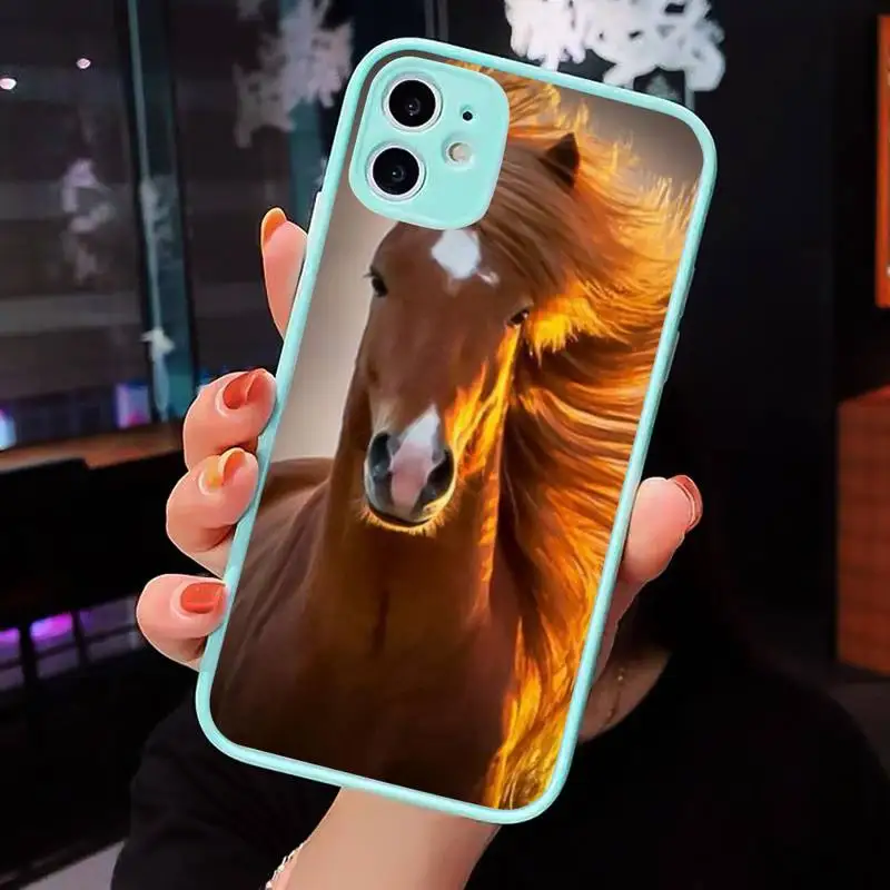 

Horse Series Phone Case Matte transparent For blue iPhone 12 Mini 11 Pro XR XS Max 7 8 Plus X Back Cover