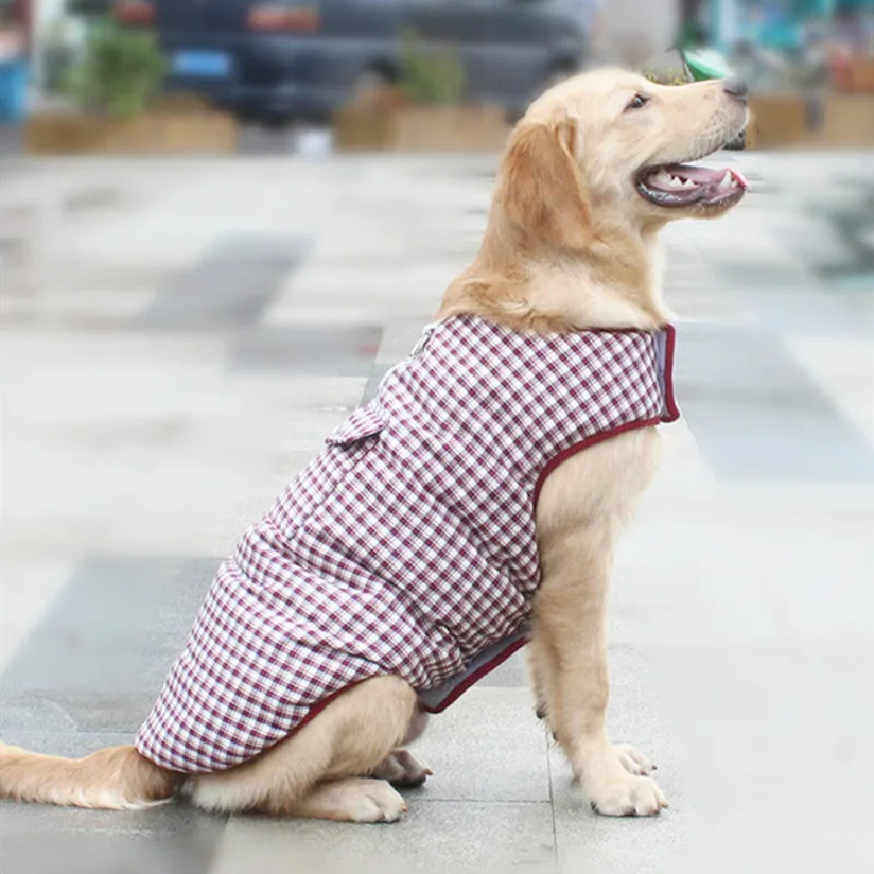 Жилет для собаки с французским бульдогом куртка ремнем утолщенная зимняя теплая