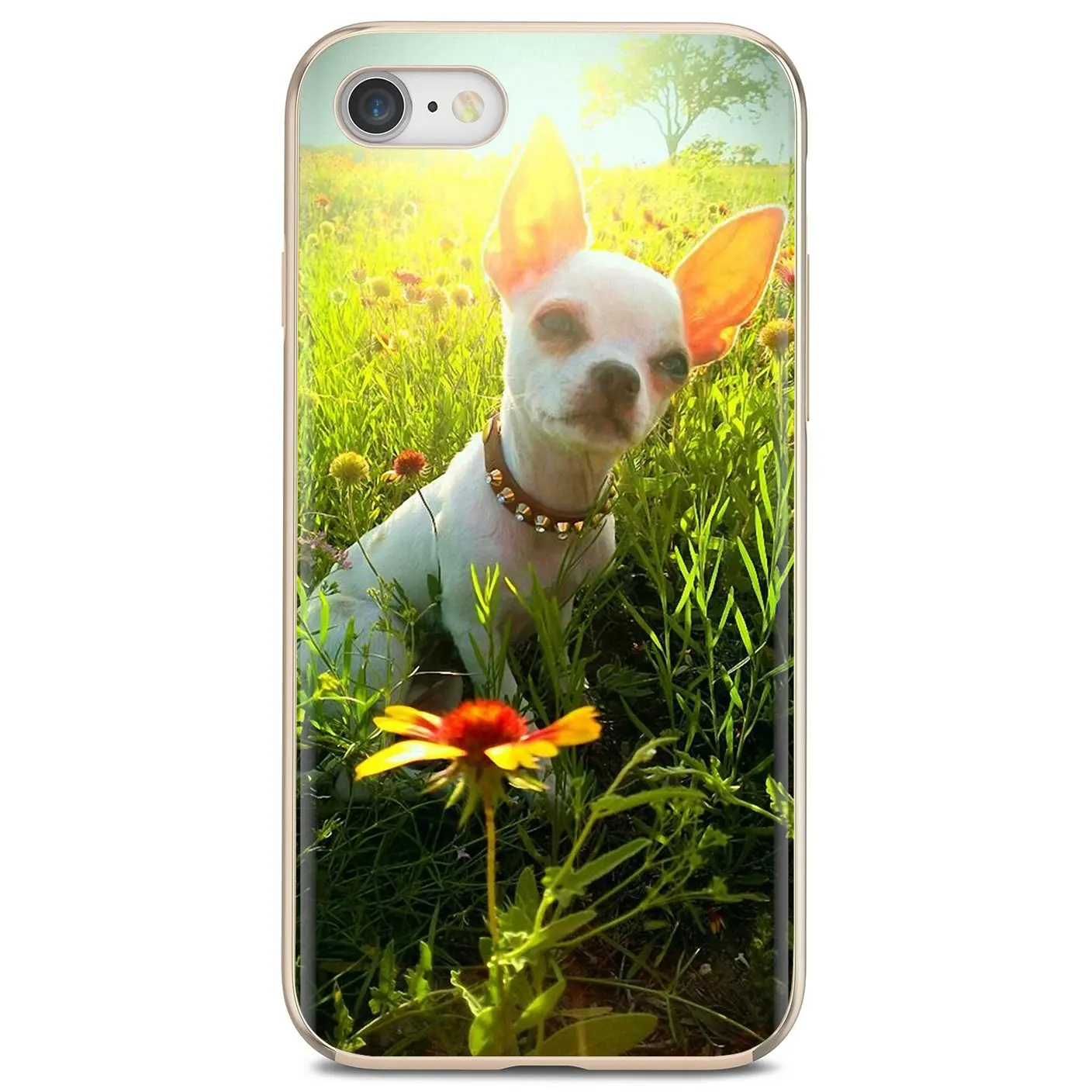 Мягкий чехол для Samsung Galaxy Note 2 3 4 5 8 9 S2 S3 S4 S5 Mini S6 S7 Edge S8 S9 Plus Chihuahua dog Bulldog Schnauzer