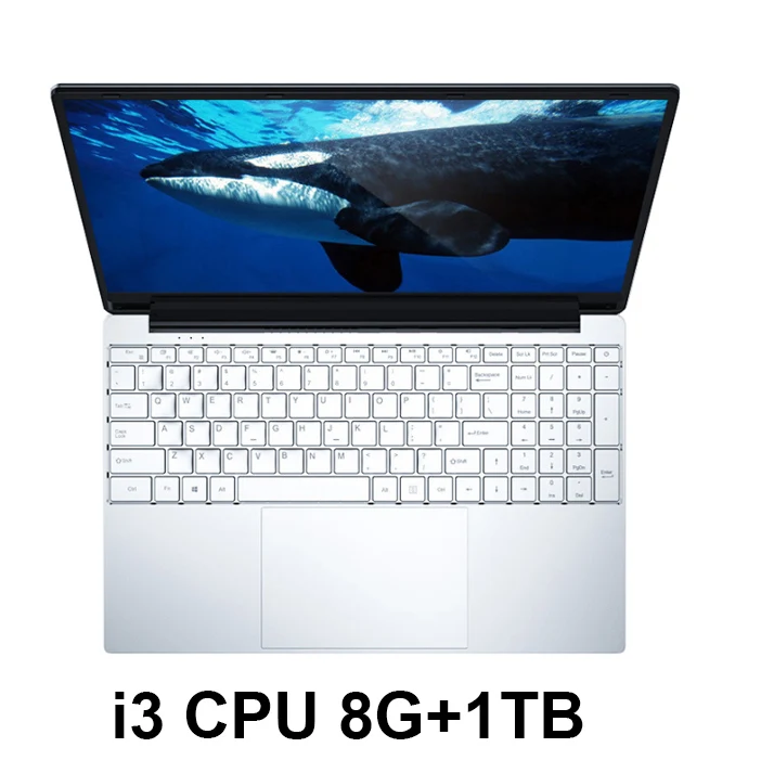 J3160/Core i3 ноутбук 15,6 дюймов с 8G ram 1 ТБ HDD Игровые ноутбуки компьютер с подсветкой Клавиатура ips дисплей ноутбук Win10 OS - Цвет: I3-8G RAM-1TB