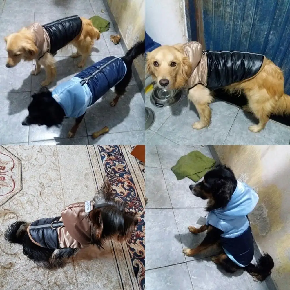 Зимнее водонепроницаемое пальто для собак мопса бульдога одежда с капюшоном