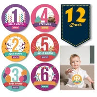 12 sheetsset baby monthly stickers pregnant belly decals memory recording milestone sticker newborn growth photography props
