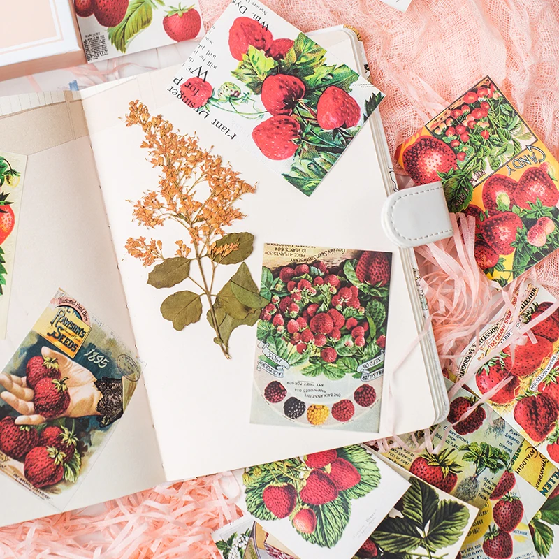 48 шт. клубника карты Стикеры s ремесла и Скрапбукинг детские игрушки декоративная