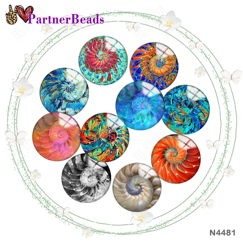 

Ракушка Nautilus Pretty 12 мм/18 мм/20 мм/25 мм, круглые стеклянные фото Кабошоны, демонстрация плоской задней части, фурнитура для изготовления бисера ...