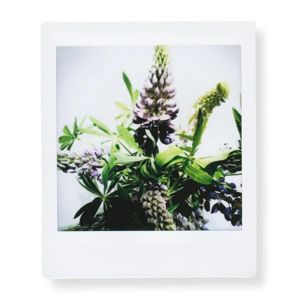 Фотобумага Instax Square Film White Edge (10-100 шт.) для принтера Fujifilm SQ10 SQ6 SQ1 SQ20 мгновенных
