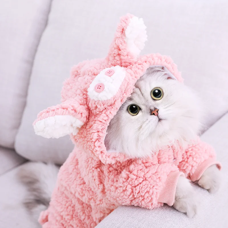 

Cat Clothes Winter Clothes Warm Put Off Hairless Cat Clothes Net Red Cute Kitten Clothes Kitten Clothes Kittens Cat Costume Cute