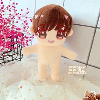 20cm tfboys wang yuan doll idol toy plush doll dress up clothing girls gift