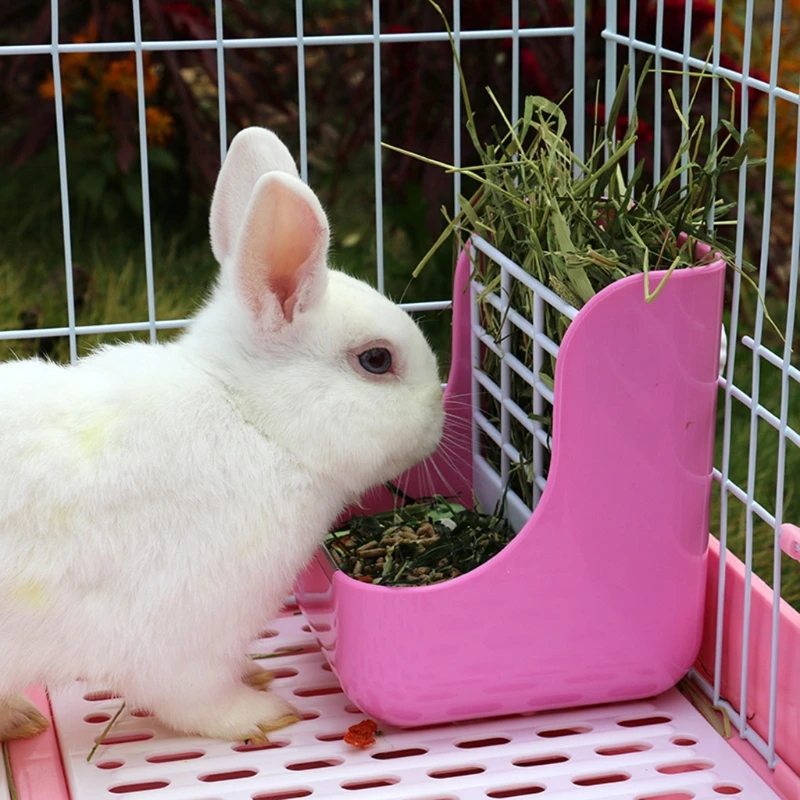 

2 in 1 Food Hay Feeder for Guinea Pig Rabbit Feeder Indoor Hay Feeder for Bunny Chinchilla Small Animals Feeder Bowls