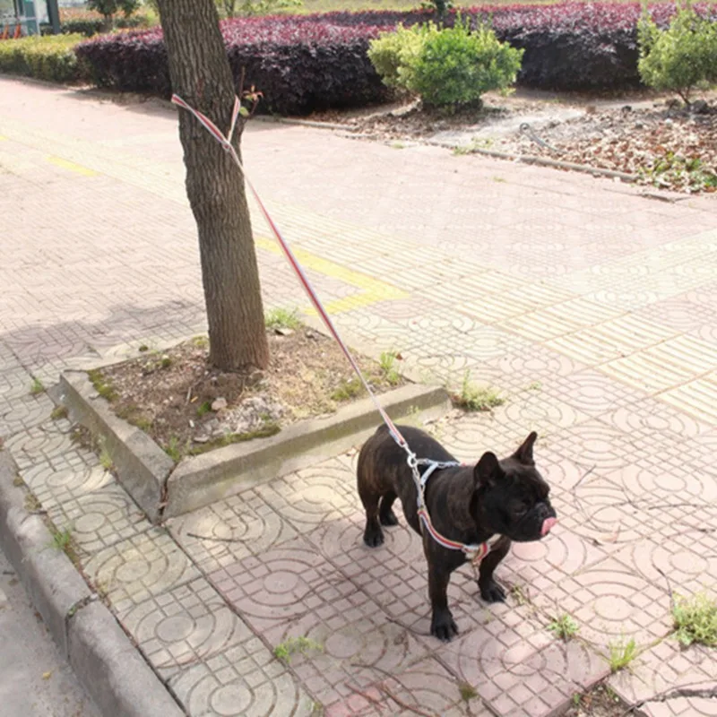 

Nylon Pet Dog Harness&Leash Set Adjustable Dog Vest Harness Running Leash Strap Belt Traction Rope For Small Medium Dogs