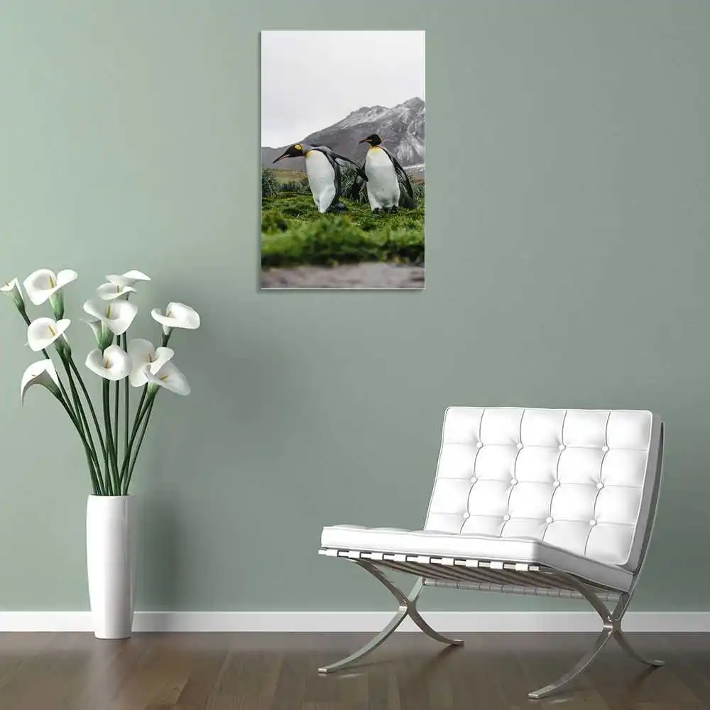 

penguins birds grass modern Art Teen room decoration Posters on the wall Poster Canvas Print wall ornament