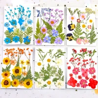 1 pack dried flowers uv resin natural flower stickers dry plants for aromatherapy candle diy epoxy resin pendant jewelry making