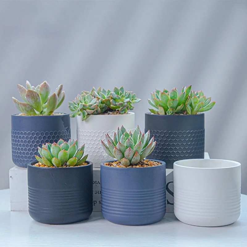 

Nordic Simplicity Straight Matte Ceramic Succulent Flower Pot Modern Green Plant Potted Home Decoration Creative Gardening