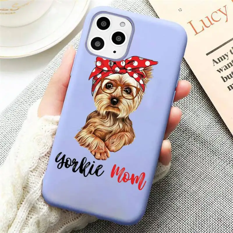 

Yorkshire terrier dog Newest Phone Case Candy Color for iPhone 11 12 mini pro XS MAX 8 7 6 6S Plus X SE 2020 XR