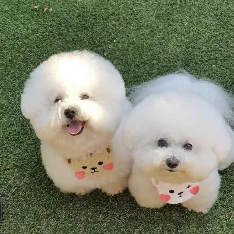 

Pet Accessories Small And Medium-Sized Dogs Dogs Cats Lace Saliva Towels Dog Supplies Decoration Cute Brown Bears White Bears