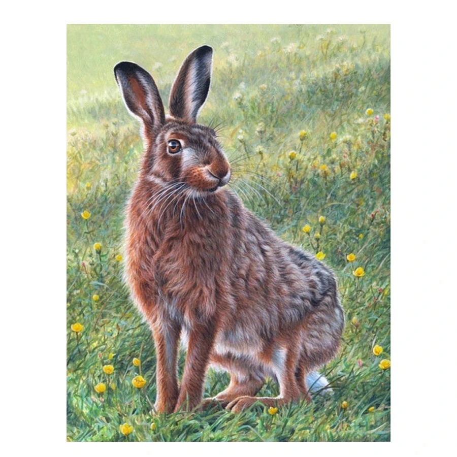 DIY 5D алмазная вышивка крестиком полная Алмазная картина кролик пастбища Декор