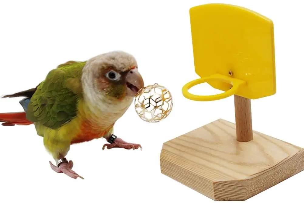 

Bird Toys Parrot Puzzle Training Intellectual Development Toy Parrot Shooting Toy Bite Ball Mini Basketball Basket Desktop Toy