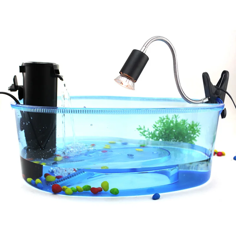 

Turtle Habitat Reptile Aquarium Tank Pool With Flat Roof For Amphibians Reptiles Turtle Aquarium Reptile Accessories