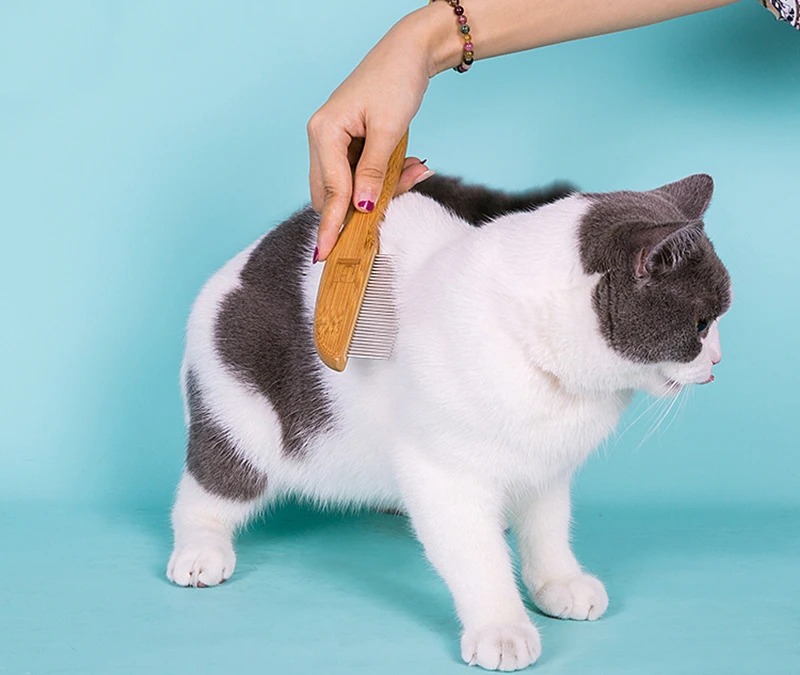 

Truelove 31 Steel Needles Pet Comb Ergonomic Handle Mmassage Fur Open the Knot Cat and Dog Groomer cepillo para perro