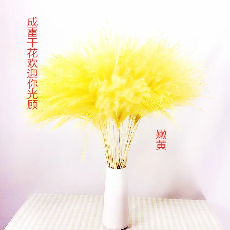 Натуральные пампасы трава Декор цветы сушеные растения свадьба букет Рождество