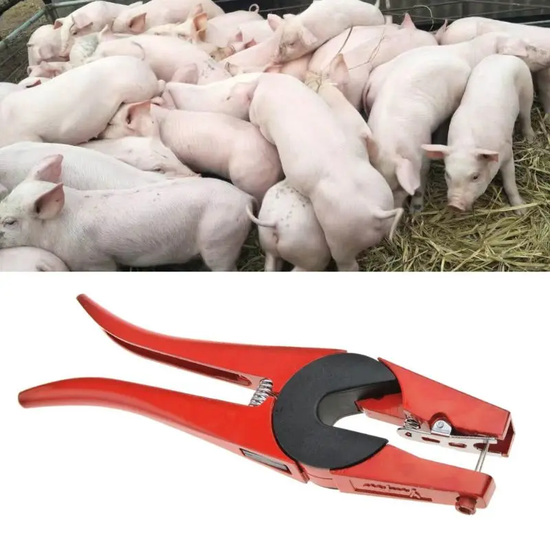 Скотоводство поросенок хомут аппликатор кролик овца ушной знак - Цена: 774,92 руб.