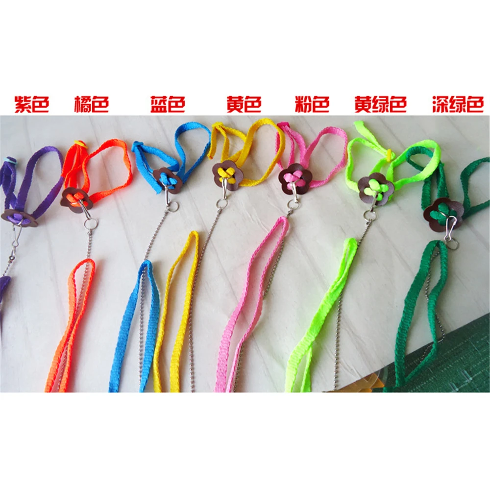 

1.2m Little Pet Bird Outdoor Fly Training Traction Rope Collar Chain