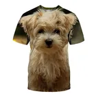 Футболка с 3D принтом для мужчин и женщин, модная футболка с животными, забавная Мужская футболка с коротким рукавом и собакой, новинка 2021