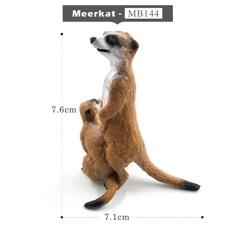 Meerkat Имитация белки, слона, попугая, Wombat, фигурка животного, домашний декор, миниатюрное украшение для сада в виде Феи, аксессуары, фигурка - Цвет: Meerkat