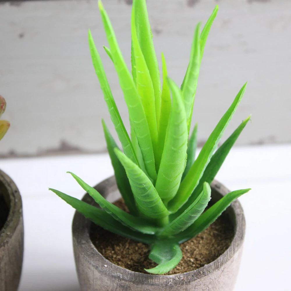 

2pcs Simulation Succulent Retro Bonsai Fleshy Micro Landscape Plant Ornament Balcony Home Decoration