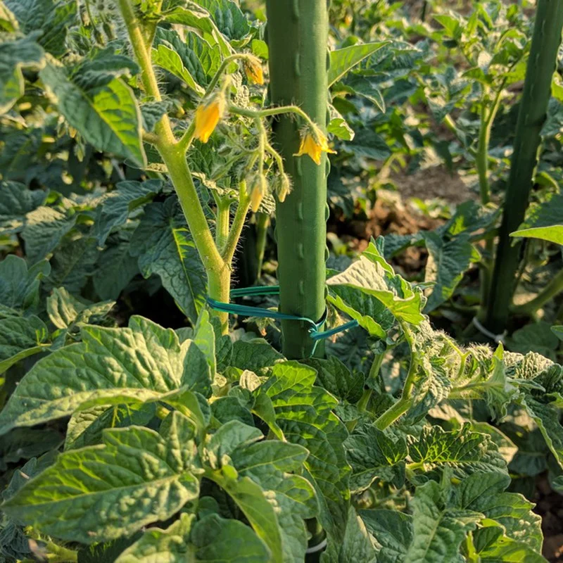 100 шт. зеленые садовые фиксаторы для подъема винограда и растений кабельные