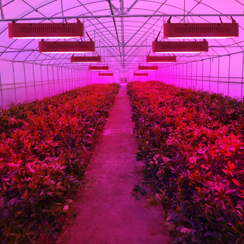 

LVJING Grow Light LED 120W 200W 1000W 2000W 2400W 3000W Full Spectrum Phyto Lamp for Plants Seedling Seed Indoor Greenhouse Tent