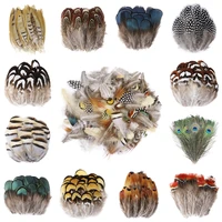 wholesale natural pheasant peacock feathers for crafts plumes decoration diy jewelry handicraft fly tying material