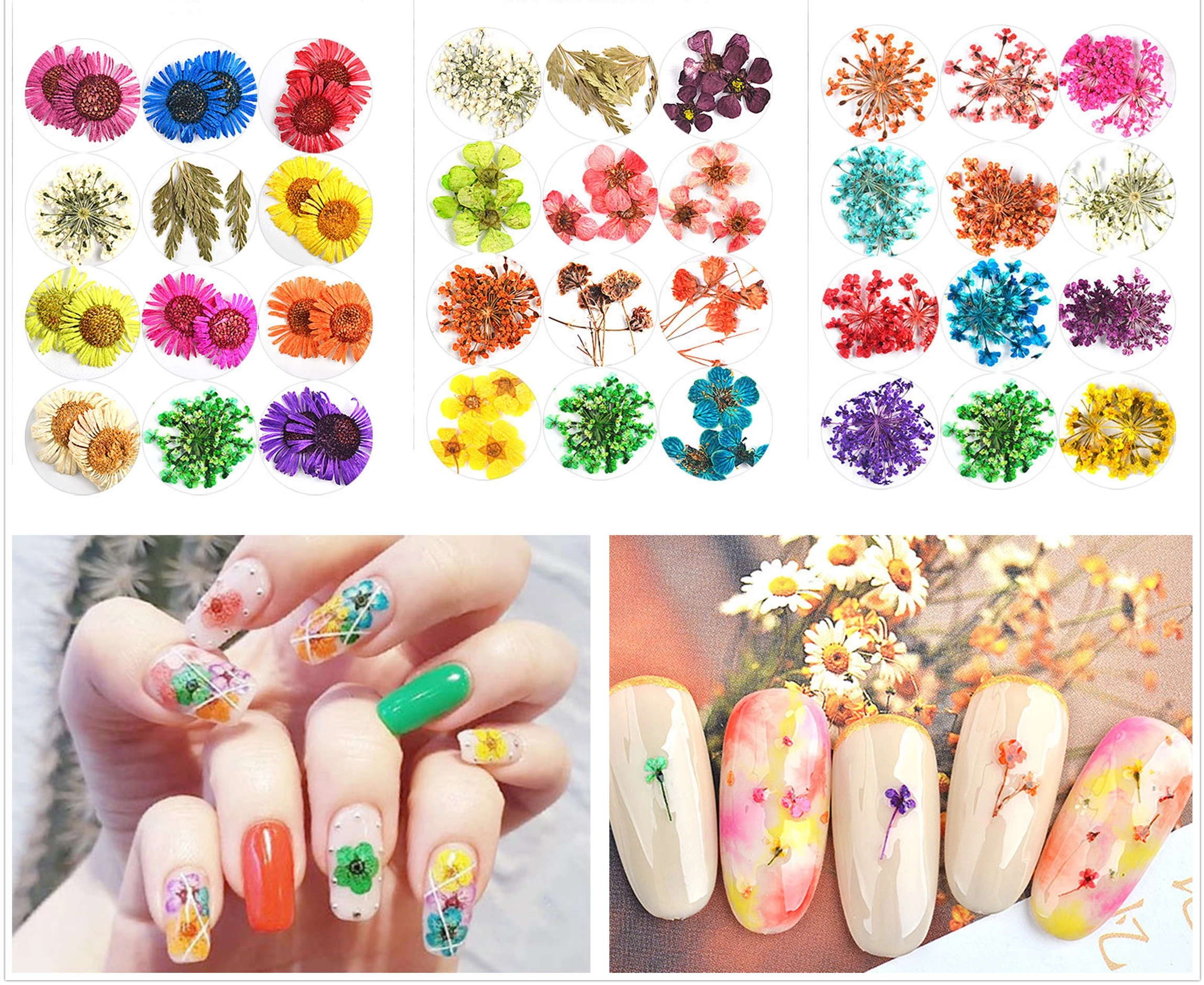1 коробка сухих цветов для дизайна ногтей Декорирование серия 24 шт. | Украшения и