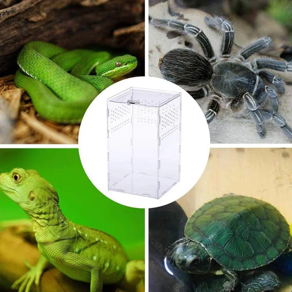 

Insect Terrarium For Spider Lizard Scorpion Horn Acrylic Reptile Terrarium Transparent Reptile Pet Breeding Box