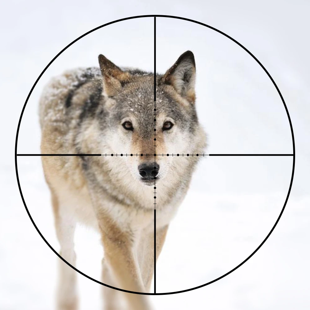 LEUPOLD 1,5-5X20 Riflescopes HuntingScope с креплениями высокого качества