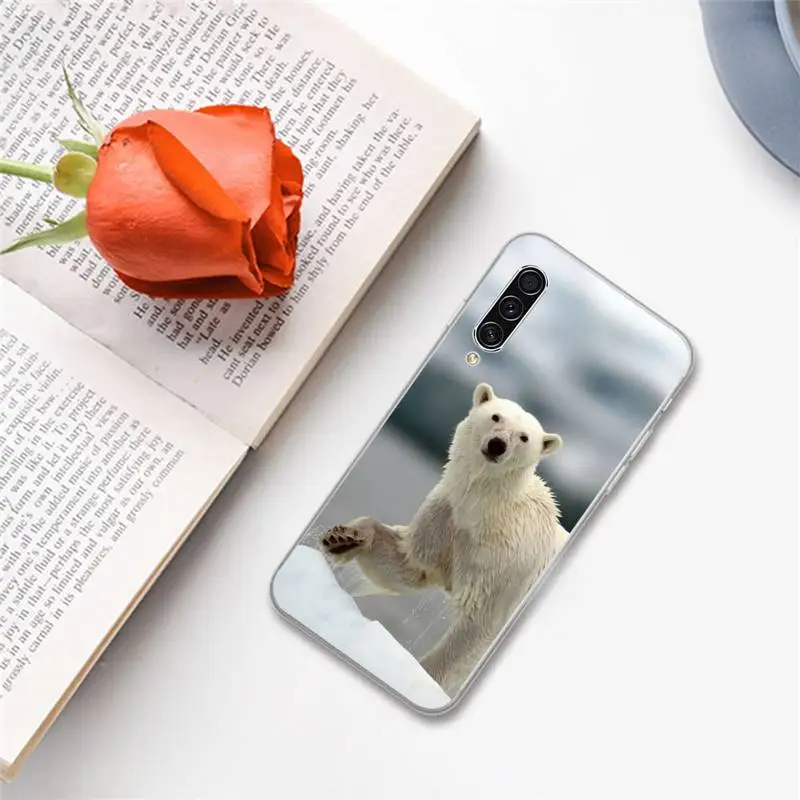

cold Polar bear white animal Phone Case For Samsung A S M Note 9 10 20 fe 21 71 30 ultra plus 5g 11 31 51 s