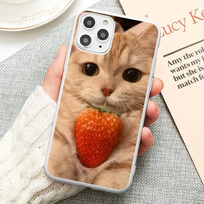 

Cute cat kawaii Phone Case Candy Color White for iPhone12 11 pro XS MAX 8 7 Plus X SE 2020 XR