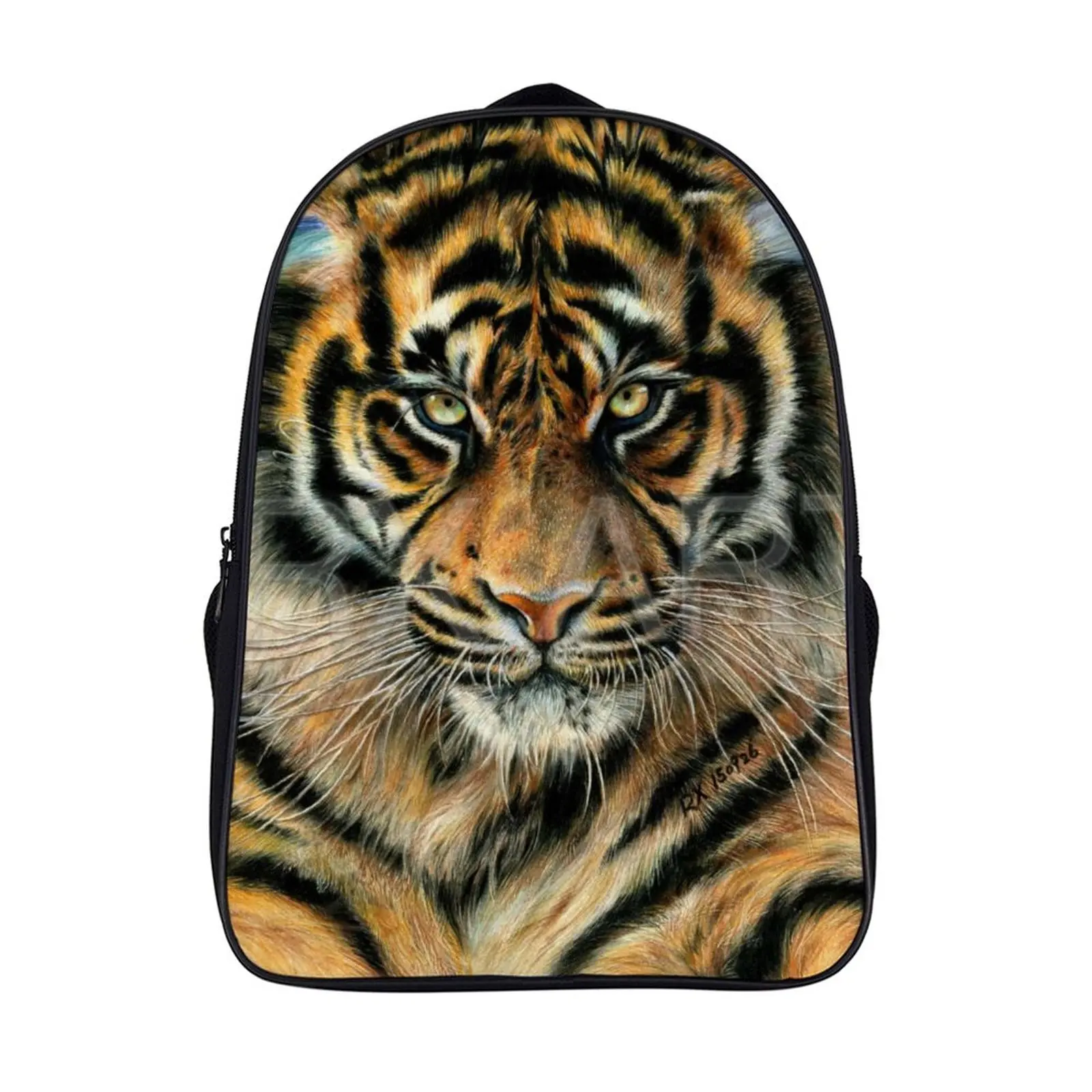 

16 Inch Double Compartment Student Backpack Boys and Girls School Bag Backpack Student Travel Backpack Fashion Backpack
